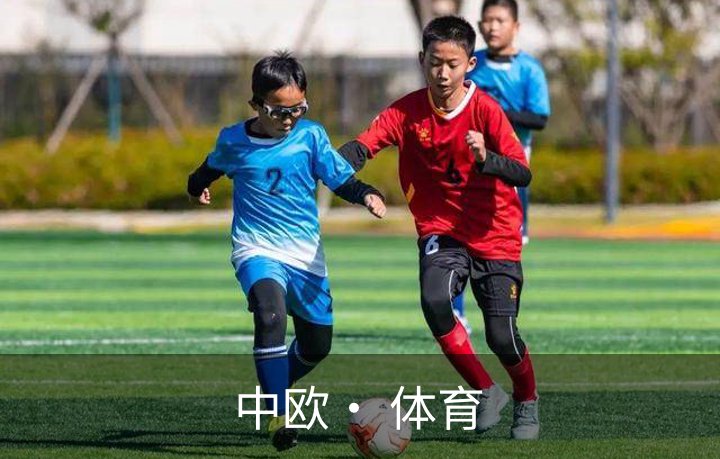 中欧· 体育概况